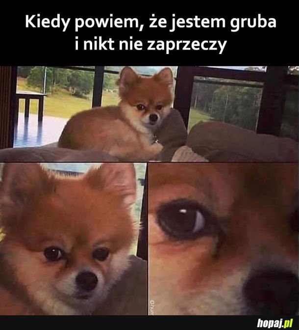 Jak możecie