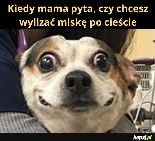 Chcę!