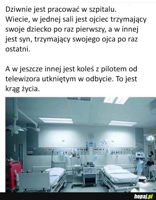 Krąg życia