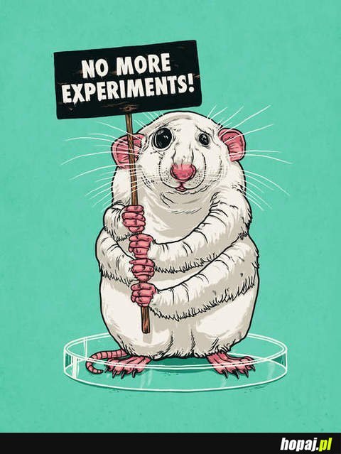 No more experiments!