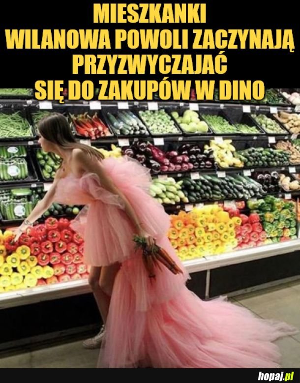 Wilanów. 