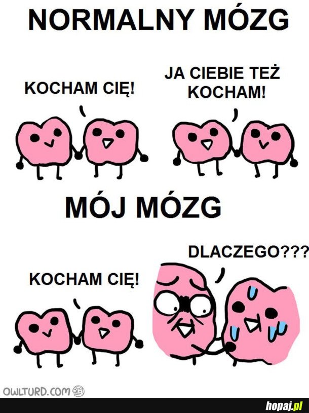 MÓJ MÓZG