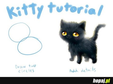 Kitty tutorial