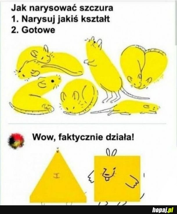 Szczur