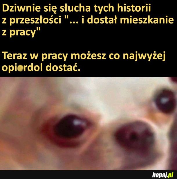 Mieszkanie