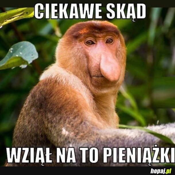 TEŻ JESTEM CIEKAW