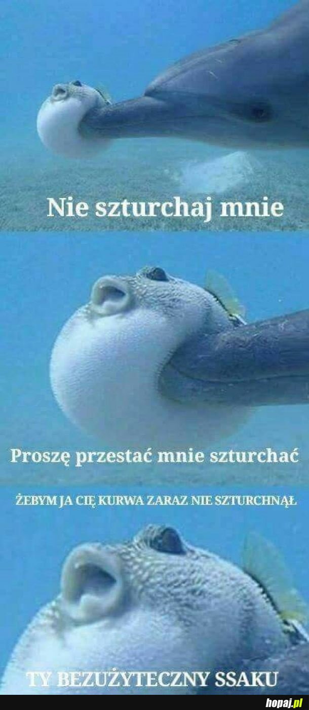 Nie szturchaj mnie