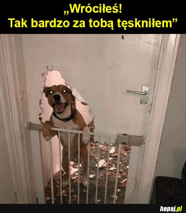 Witaj!