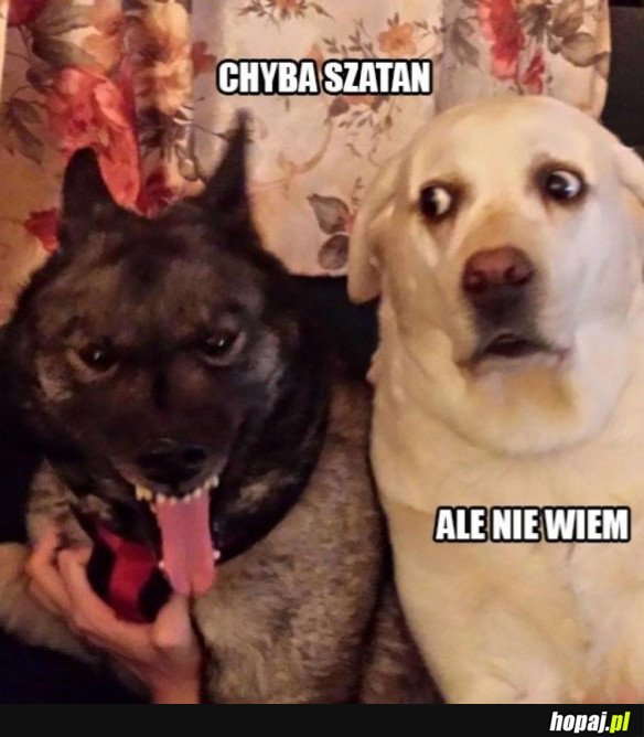 PIESEŁY