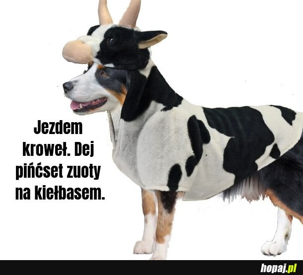 Kroweł 