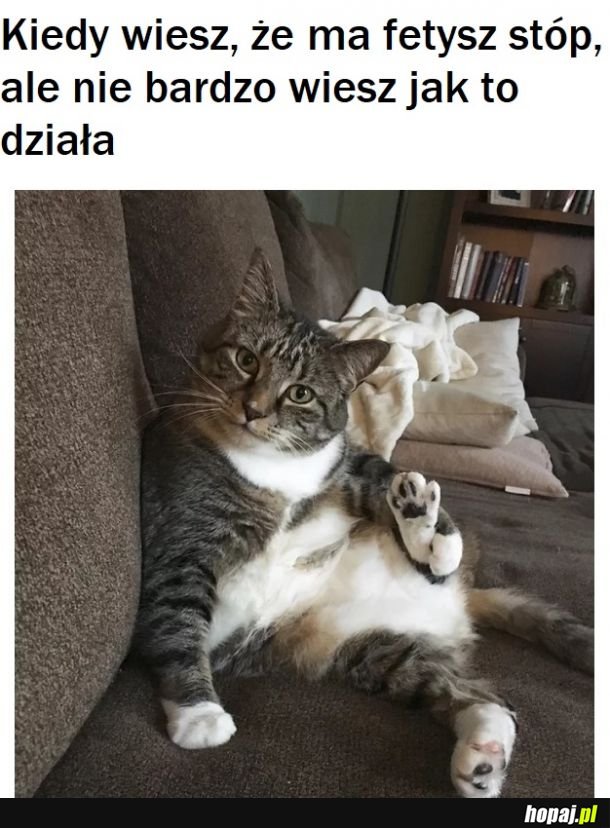 Patrz, mam stopę 