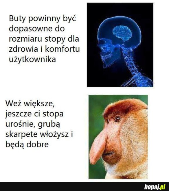 KUPOWANIE BUTÓW