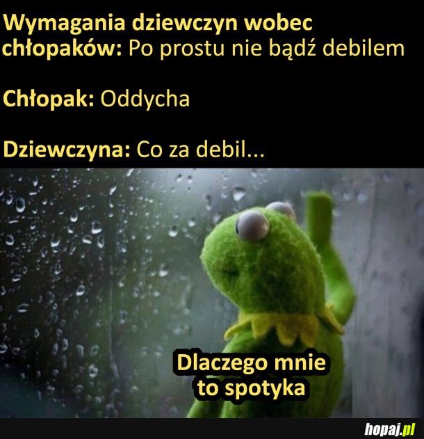 Wymagania