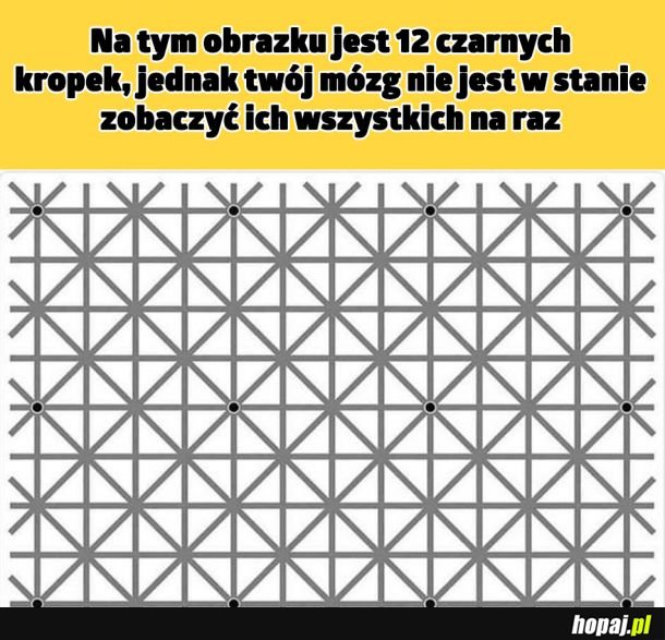 Czarne kropczeki