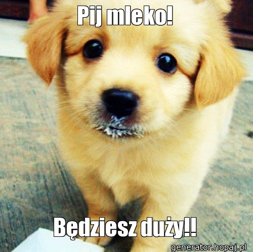 Pij mleko!