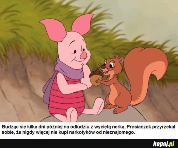 PROSIACZEK NARKOMAN