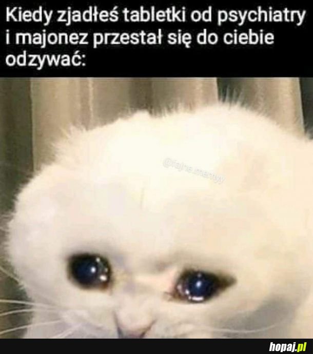 Wszystko zepsuł