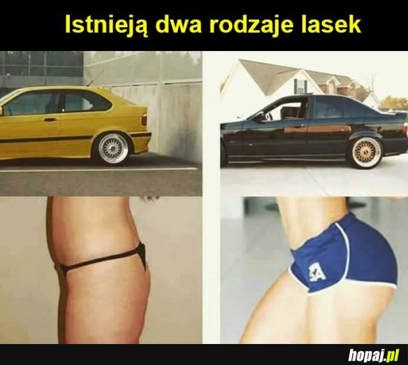 2 rodzaje lasek