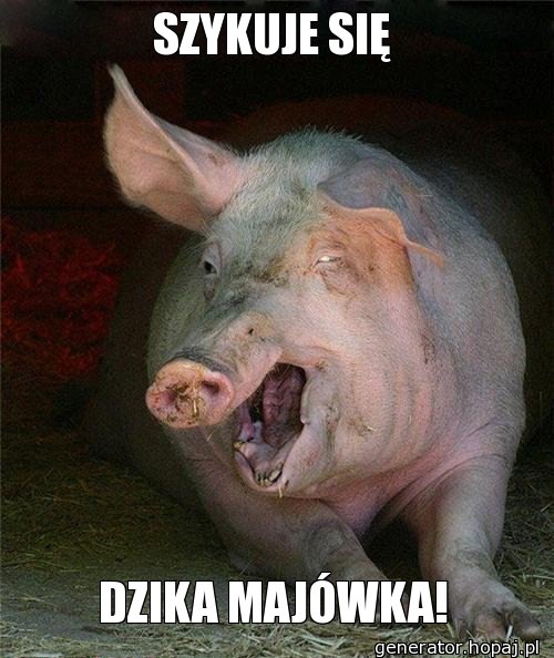 SZYKUJE SIĘ