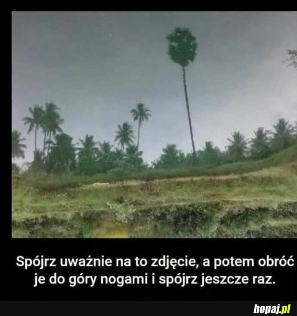 NO I TO JEST CIEKAWE