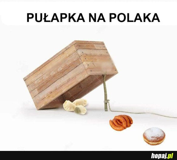 PUŁAPKA