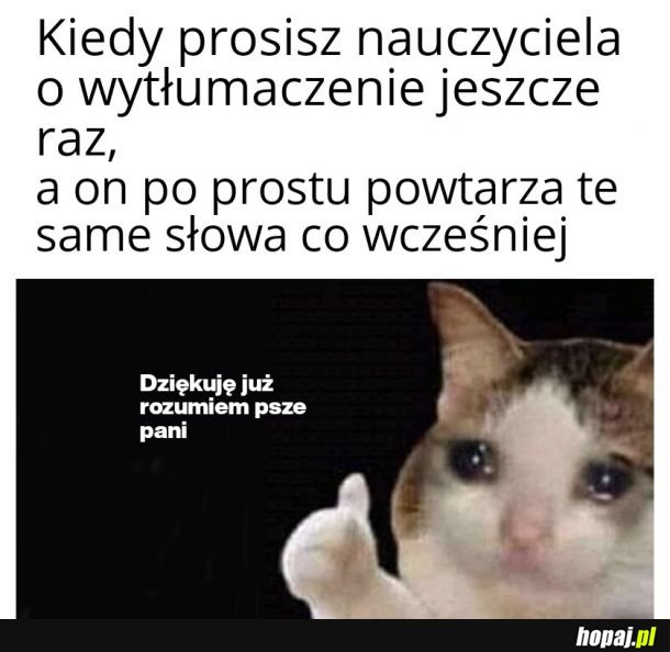 Nauczyciele