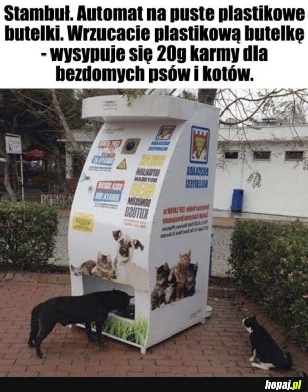U nas takich nie widziałem