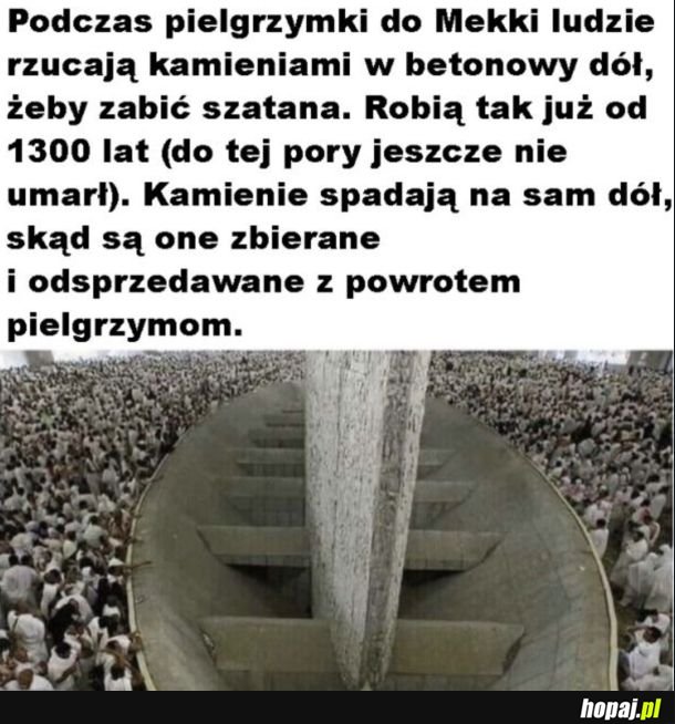 I biznes się kręci
