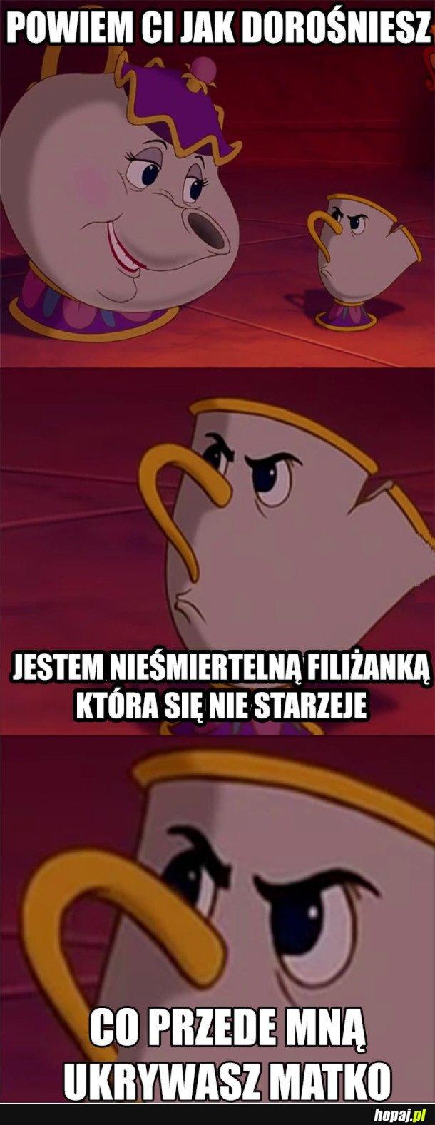 BO TO SĄ TE TAKIE... PSZCZÓŁKI...