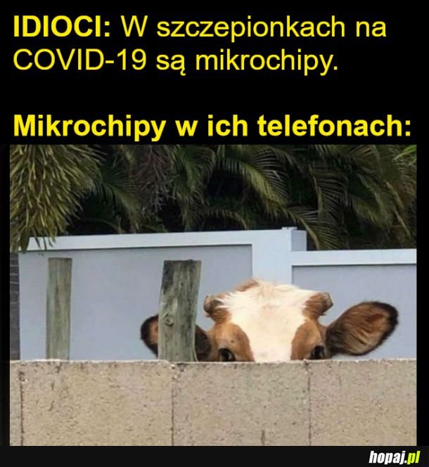 Mikrochipy