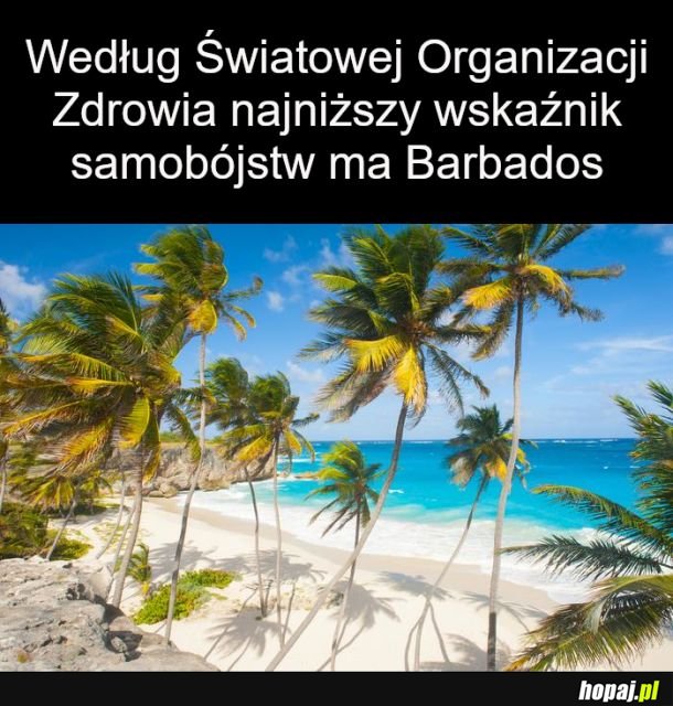 Najniższy wskaźnik samobójstw