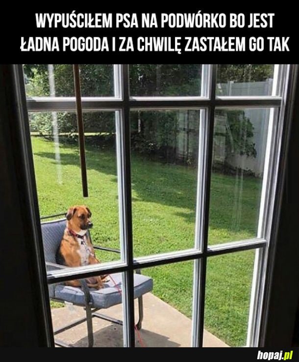Co tu się