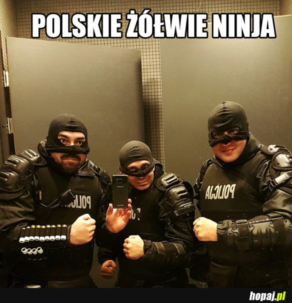 Polskie zółwie ninja