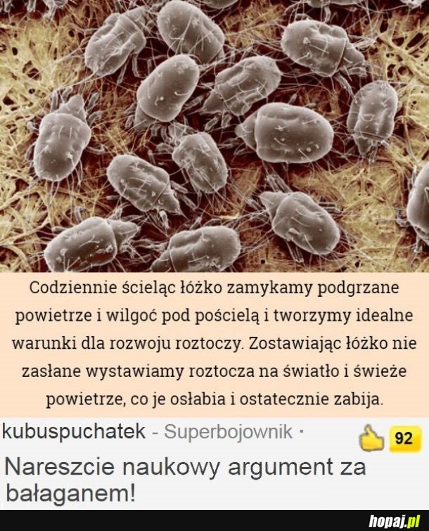 Dobre wytłumaczenie