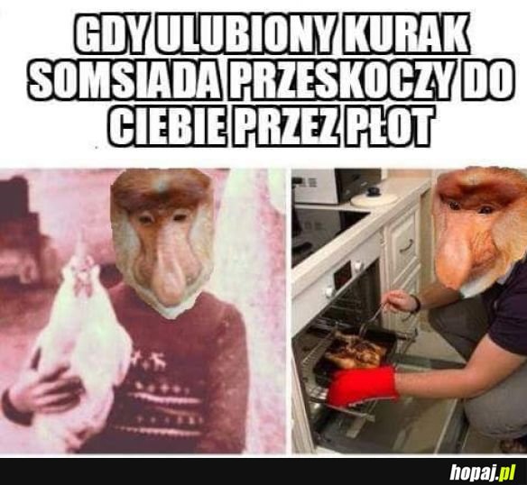 Kurak somsiada