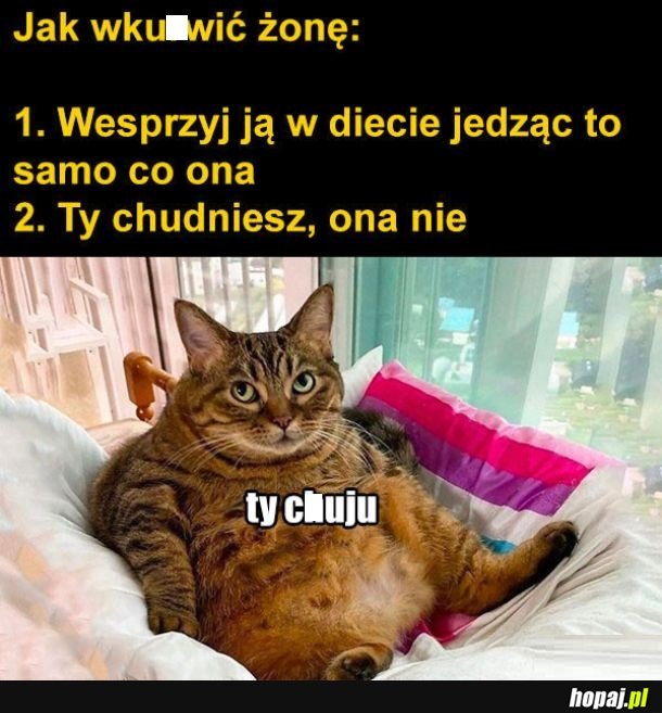 Żonka