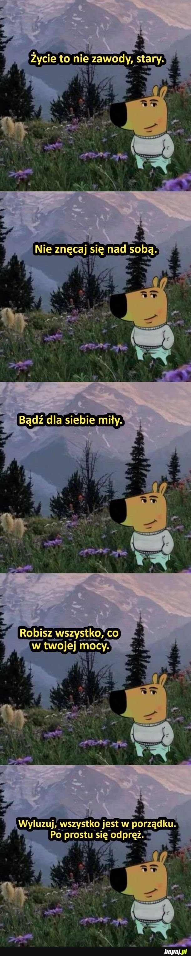 Życie to nie zawody