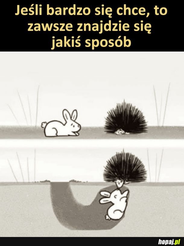 Zawsze się znajdzie jakiś sposób