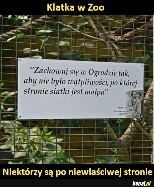 Klatka w zoo