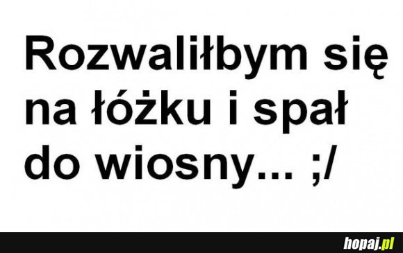 Rozwaliłbym się na łóżku i spał do wiosny