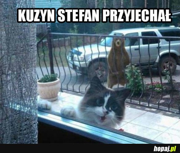 MAMA KUZYN PRZYJECHAŁ