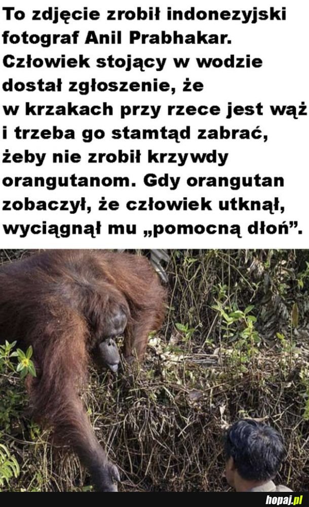 Epickie zdjęcie