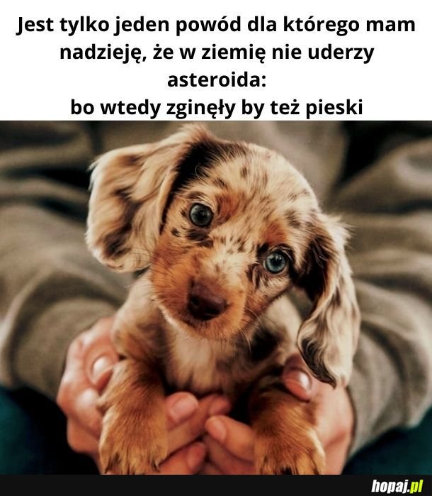 Na samą myśl robi mi się smutno