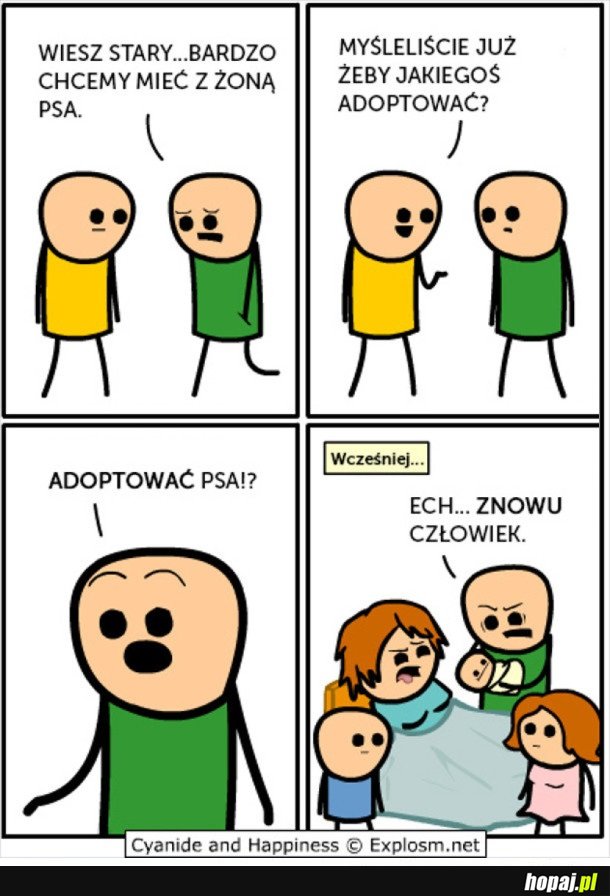 ADOPCJA PSA