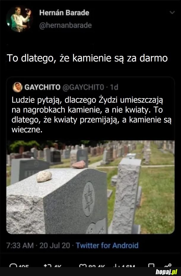 Kamienie vs kwaity