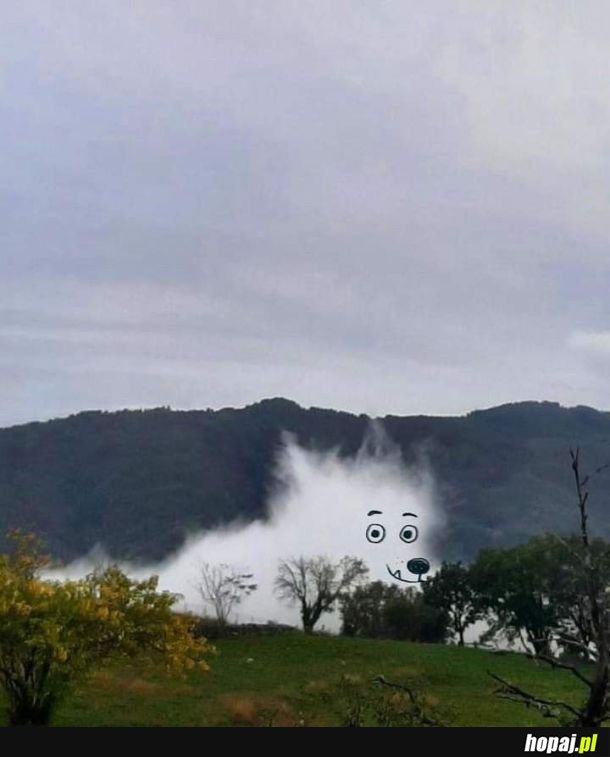 Co widzisz w tej chmurce?