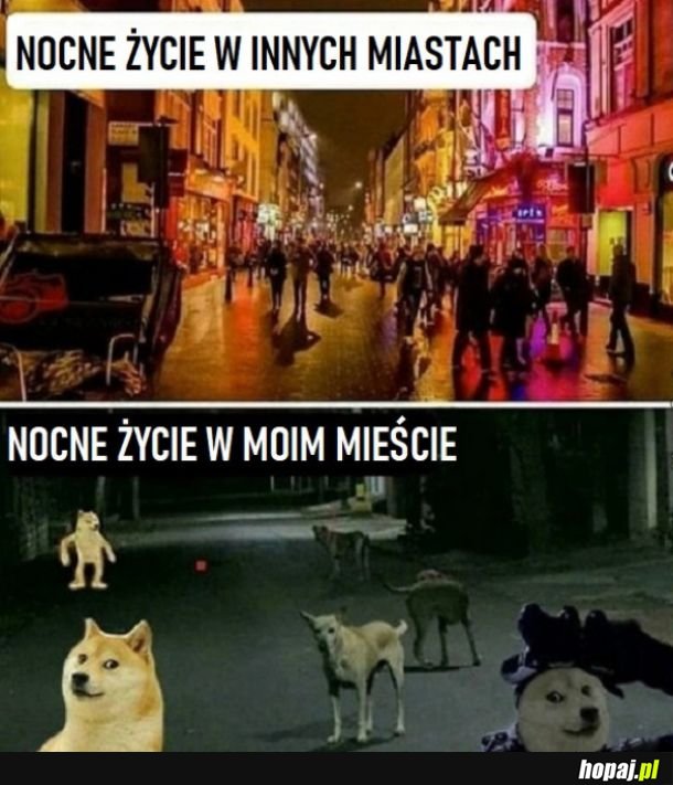 Nocne życie