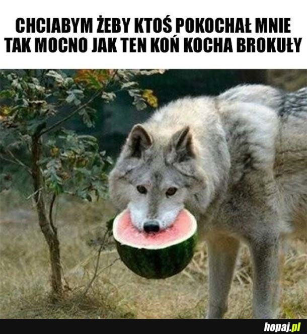 TAK BARDZO BYM CHCIAŁ
