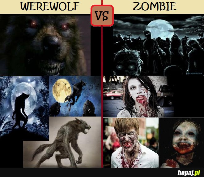 Werewolf vs zombie :D