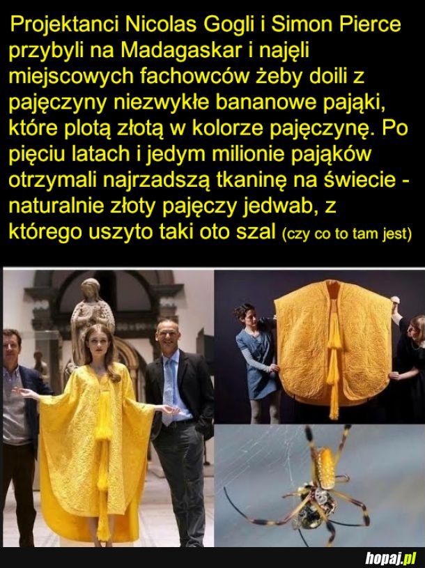 Jedwab z pajęczyny - piękny i drogi